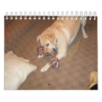 Dog Calendar by jettylashy Dog Calendar