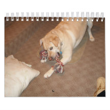 Dog  Calendar