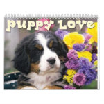 Dog Calendars