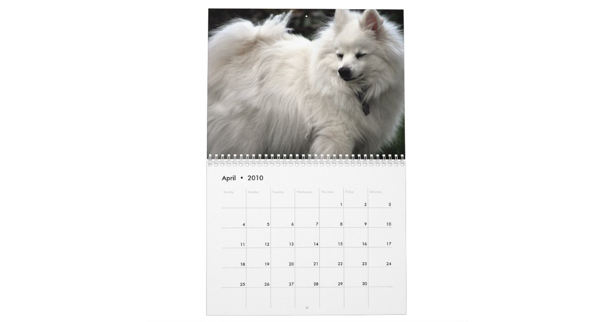 Dog Calendar Zazzle