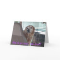 Dog Can't Drive Birthday Card