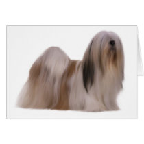 Dog Card