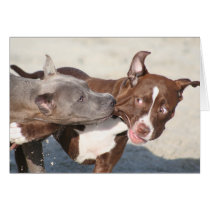 Dog Cards - Pitbulls at Play by chrisjo88 Dog Cards - Pitbulls at Play