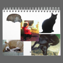 Dog & Cat Calendar