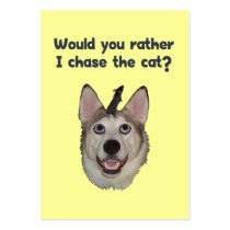 Dog Cat Mouse Business Card
