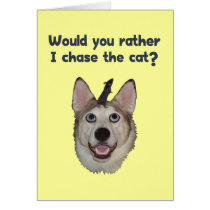 Dog Cat Mouse Greeting Cards