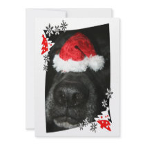 Dog Christmas hat on nose, black lab mix canine Personalized Announcement