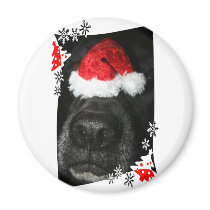 Dog Christmas hat on nose, black lab mix canine Refrigerator Magnet