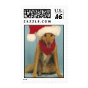 Dog Christmas Stamp