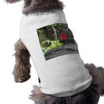 Dog Clothes:  Bali Statue