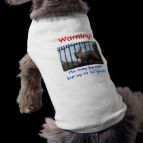 Dog Clothing pet clothing