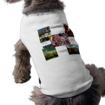 Dog Clothing - Funny jacket - British souvenir