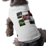 Dog Clothing - Funny jacket - British souvenir