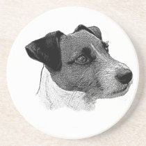 Dog coaster coasters