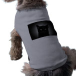 dog coils cat pet clothing