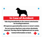 Dog Crate Card In Case of Emergency: Aussie Postcards