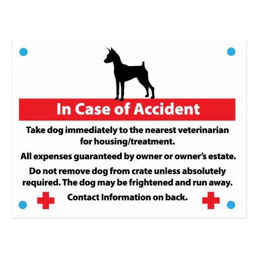 Dog Crate Card In Case of Emergency Post Cards