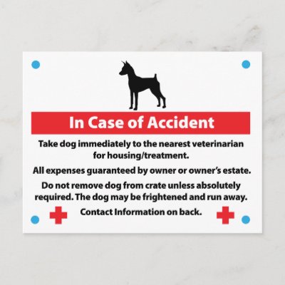 Dog Crate Card In Case of Emergency Post Card