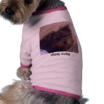 dog cute