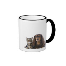 Dog (Dachshund) and cat (Japanese cat) on white Mug
