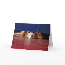 Dog Day cards by providencephoto Dog Day cards