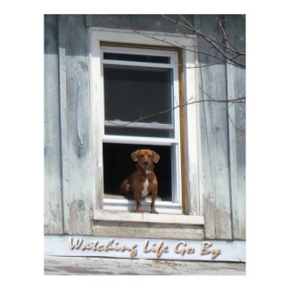 Dog Day Poster print