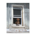 Dog Day Postscard postcards