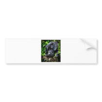 Dog days bumper sticker