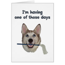 Dog Days Humor Cards