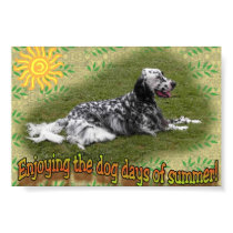 Dog days of Summer posters