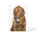 Dog Doc cards by deemac1 Dog Doc cards