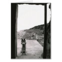 Dog Door cards
