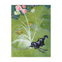 Dog Drinking from Garden Hose Post Cards