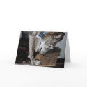 Dog Eating Father's Day Gift