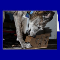 Dog Eating Father's Day Gift (The Dog Ate It) cards