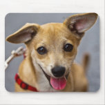 Dog Emotional Mousepad