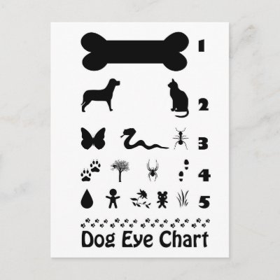 picture eye chart