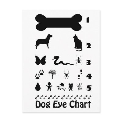 Dog Eye Chart Postcard by estjohn