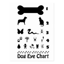 Dog Eye Chart Postcard