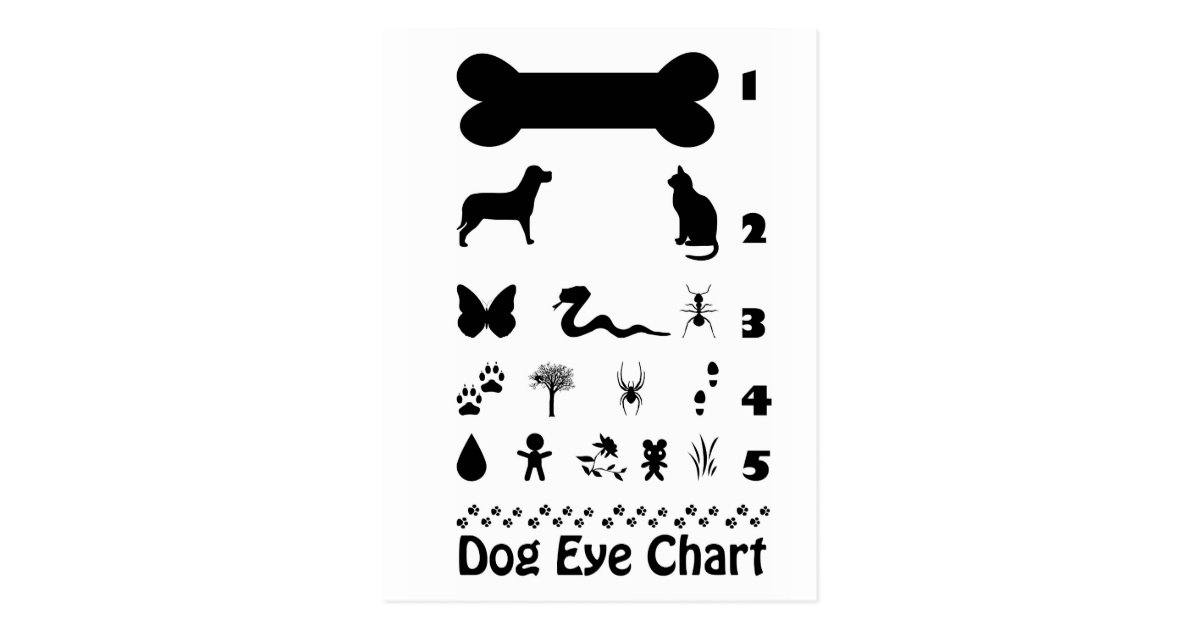 Dog Eye Chart Postcard Zazzle