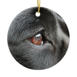 Dog Eye Close Up Christmas Tree Ornaments