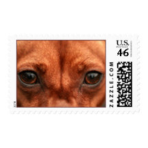 Dog Eyes Stamp, Horizontal