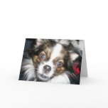 Dog Face Birthday cards
