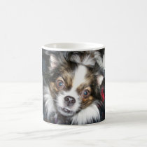 dog face mugs