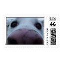 Dog Face postage