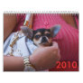 Dog Fashionable Wall Calendar