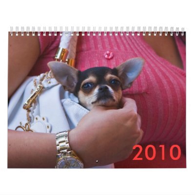 Dog Fashionable Wall Calendar