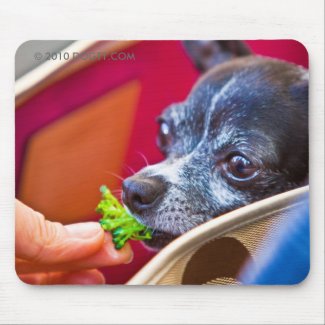 Dog Fashionable Mousepad