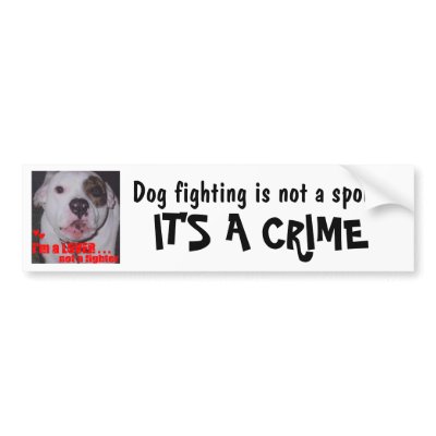 Dog Fighting is not a sport It's a CRIME Bumper Sticker by malibuitalian