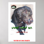 DOG FIGHTS posters